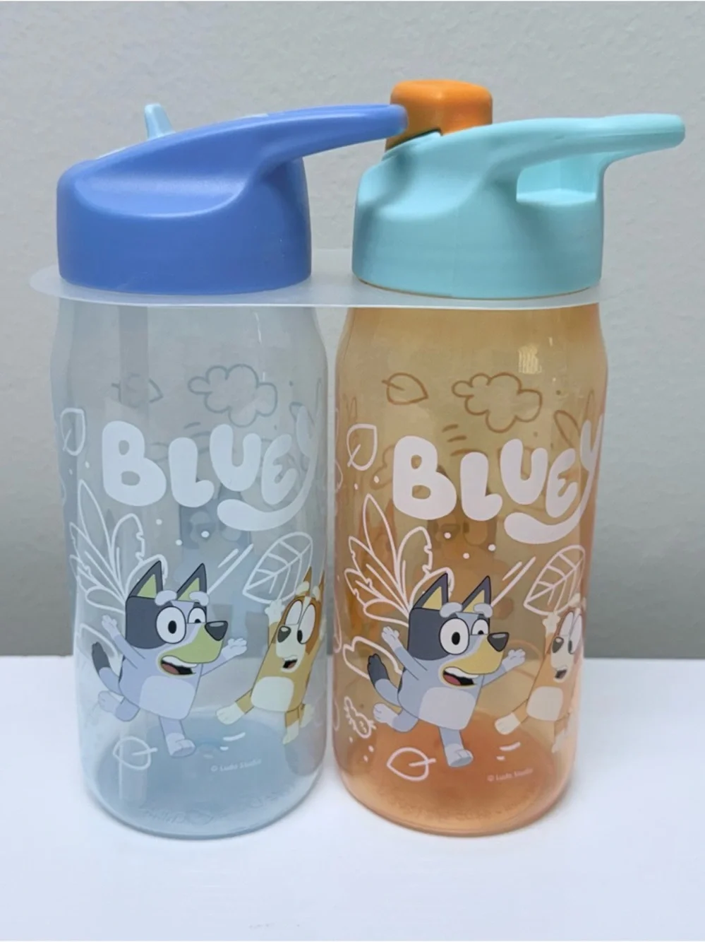 Zak Designs 2pk 16 oz Hydration Bottle Bluey Design, Target Bullseye Playground